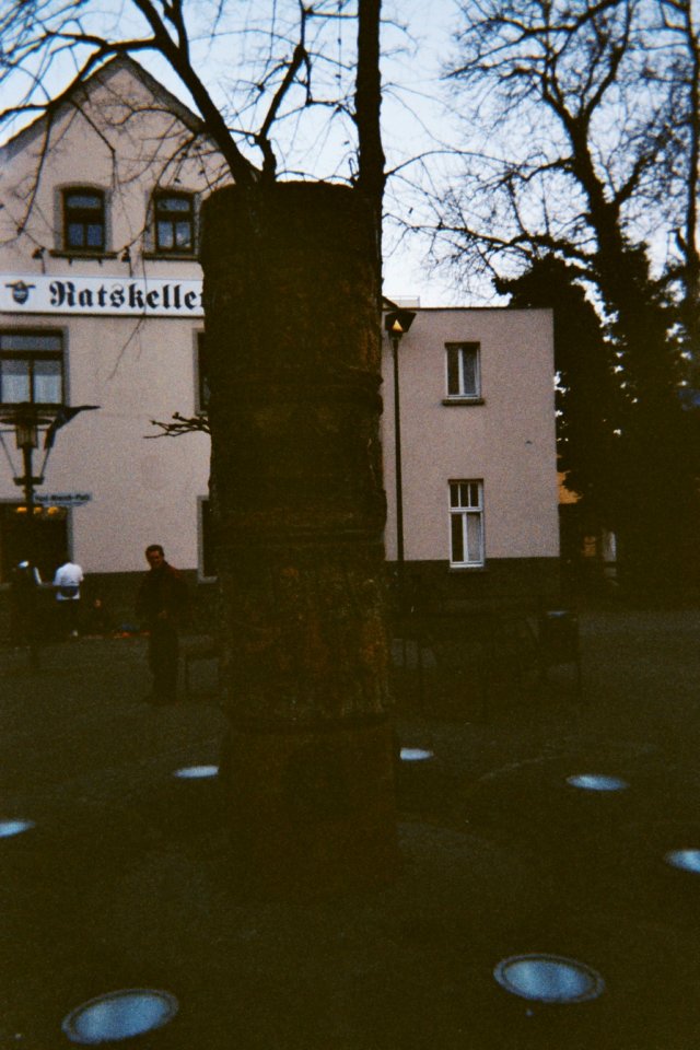 photo26.jpg